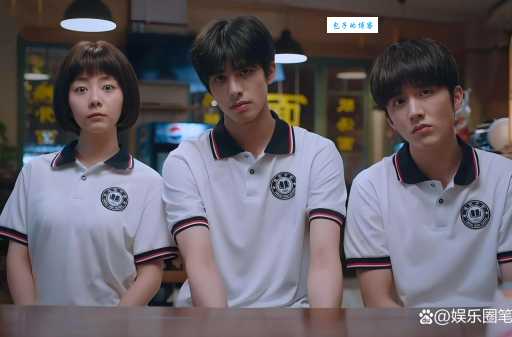 以家人之名原著小说叫什么来着？看完就懂！