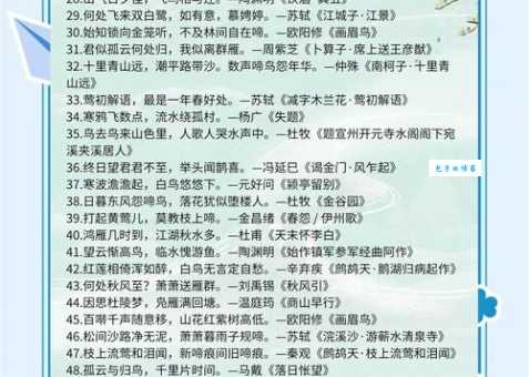 “寂寞沙洲冷”说的哪种鸟？诗词解析带你一探究竟！