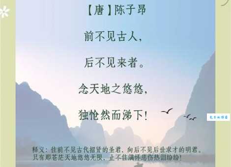 “寂寞沙洲冷”说的哪种鸟？诗词解析带你一探究竟！