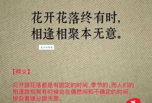 花开花落人如旧什么意思？原来是在讲人世间的变与不变！