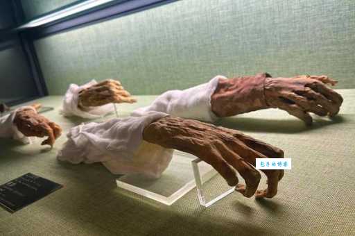 遗体残骸是什么意思？用最简单的话告诉你！