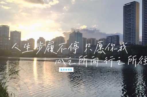 步履不停是什么意思?一篇文章让你彻底明白!