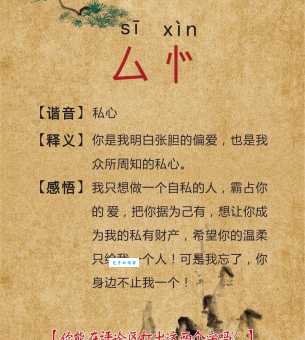 BISS是什么意思啊？深入解析它的真正含义！