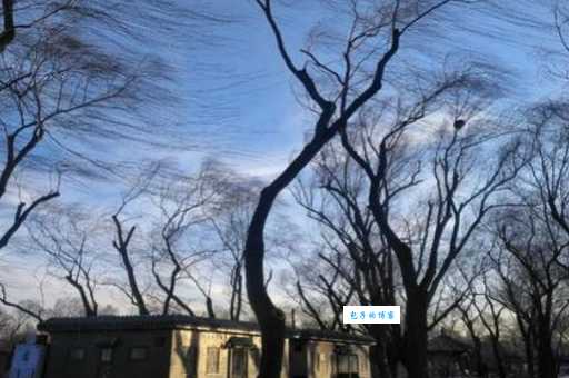 北风像狮子一样狂吼仿写句子不够用？更多创意句子等你发现！