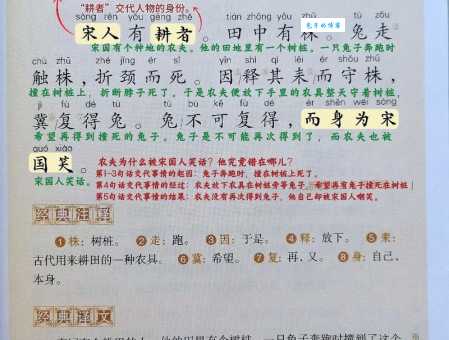 守在株边待兔来 (打一字) 谜底究竟是什么？