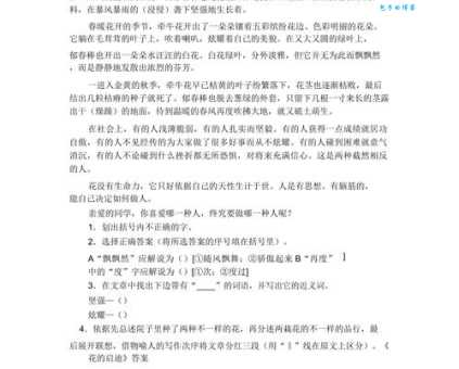花落时节的理解是什么？教你读懂它背后隐藏的寓意。