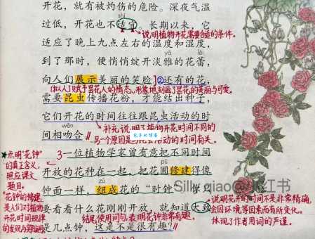 花枝招展的拼音怎么读？轻松学会正确发音！