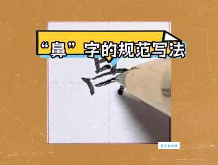 “鼻”字的笔画顺序怎么写才对？详细解析帮你掌握！