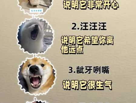 一只狗四个口打一字，猜对的都是聪明人！