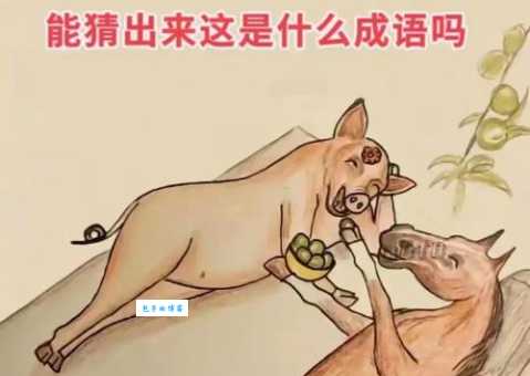寸草春辉打一动物,猜不出来看这里就明白了!