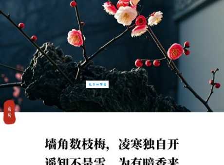 梅妻鹤子的意思,背后藏着怎样的高洁品格?