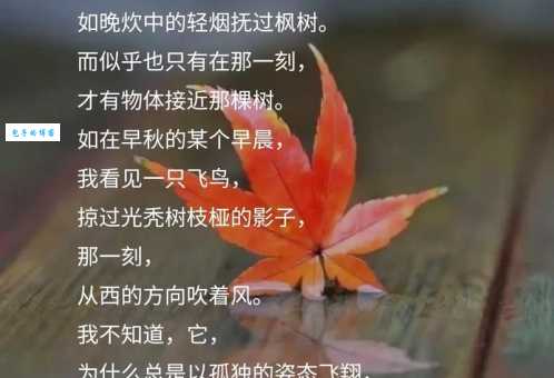 西风落叶的意思是什么?看完这篇你就懂了!