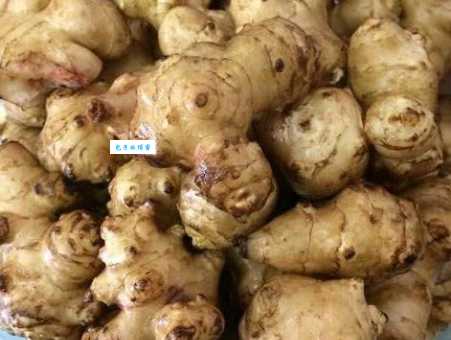 揭秘外国人煮稀饭打一城市,你知道正确答案吗?