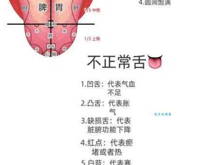 掉三寸舌的意思怎么理解？古人智慧帮你解答！