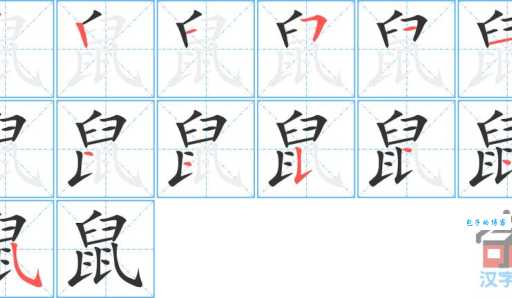 鼠的笔顺总容易错?这份纠错指南帮你!