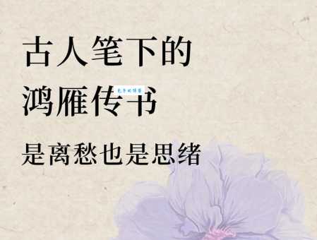 给家捎个话打一个成语：原来正确答案是“鸿雁传书”！