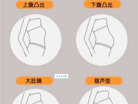 肚的笔顺规则是什么？这些细节要注意！