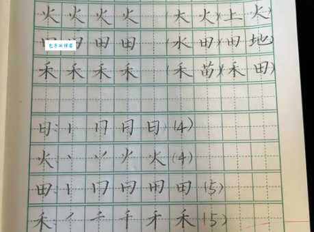 肚的笔顺规则是什么？这些细节要注意！