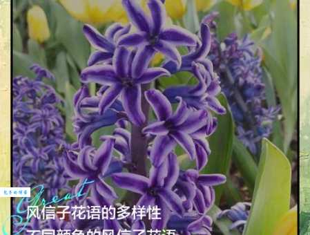 花信年华的意思是指哪个年龄段？答案可能让你意外！