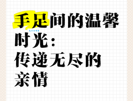 手足之情的意思有多深?看完你会被它感动到!