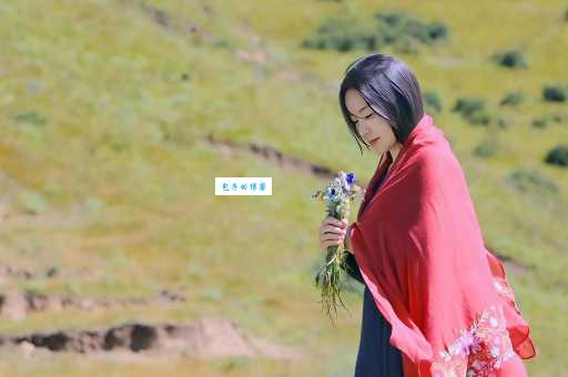 远方传来风笛表达什么心情？一起来感受诗意！