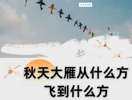 南雁北归是什么季节？原来是这两个时节的自然奇观！