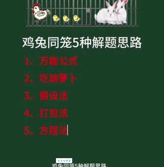 解密鸡熊兔衣服打一成语，让你轻松掌握答案！