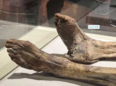 如何分辨干尸和木乃伊？专家教你简单识别法！