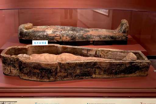 如何分辨干尸和木乃伊？专家教你简单识别法！