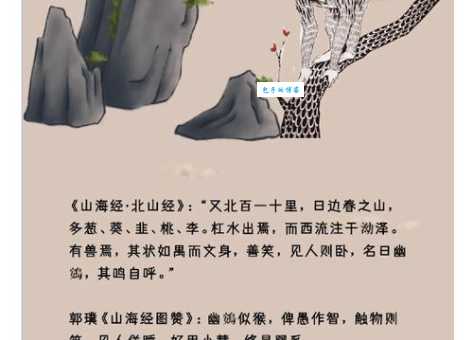 幽禽指的是什么？涨知识的时候到了！