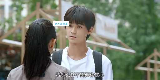 爱上查美乐大结局到底讲了啥？深度剧情分析！