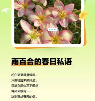 樱花草的花语是什么？关于初恋和希望的秘密！