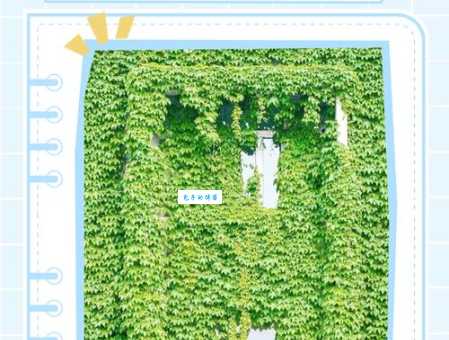 爬山虎有毒吗？养护爬山虎你需要知道的常识！