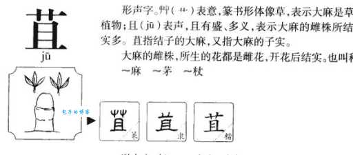 榈怎么读？为什么很多人都容易把这个字读错呢？