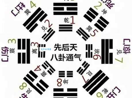 东道主中的东道指的是东西南北哪个道？快速了解不再迷糊