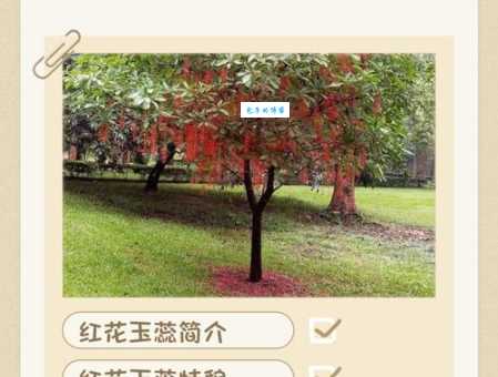 上饶市花是什么？答案就在这里看完你就明白了！