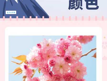 为什么粉色水蜜桃和日本樱花区别总是搞不清？图文对比帮你辨别！