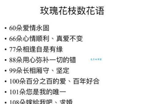 六朵玫瑰代表什么含义？了解数字背后的真挚情感