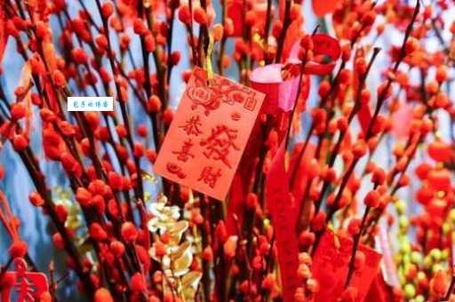 柳树开花吗？什么时候开花？春季赏柳必备知识！