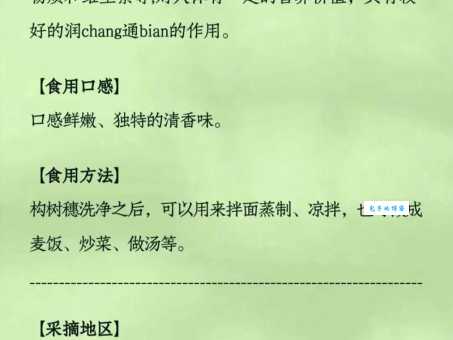 构树穗的功效与作用真的很神奇？听听老农怎么说！