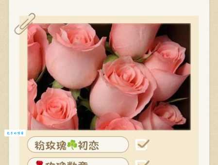 玫瑰到了花期什么意思？如何让玫瑰花开更久？