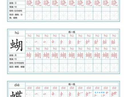 蝴蝶的组词和拼音是什么？零基础学拼音很简单！