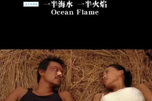 一半是海水一半是火焰比喻什么情况？用通俗的语言告诉你