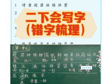 枚的部首是哪个？搞懂这个让你不再写错字！