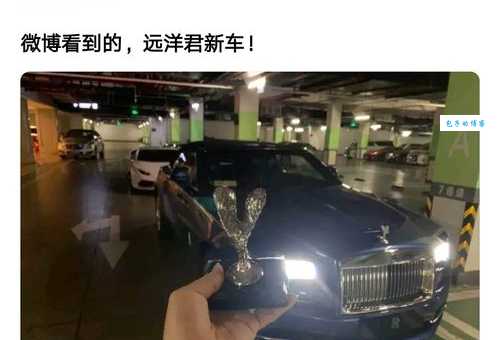 远洋君是谁？他的直播间背景大起底土豪日常让人惊叹