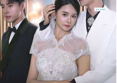 顾佳手撕林有有在第几集？全程高能场面大快人心！