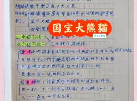 神采飞扬打一最佳动物的谜底公布!猜对了吗?