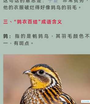 鹑衣鹄面的解释是什么？快速掌握这个成语的典故出处