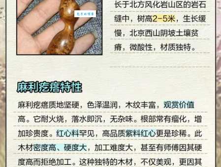 麻利是什么意思?为什么大家说要麻利一点呢?