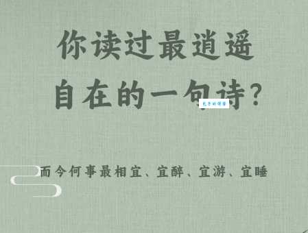 悠游自在的意思是什么?了解这个词的真正含义!